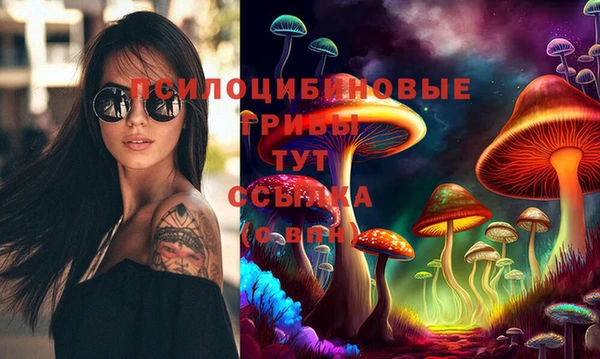 прущая мука Алзамай