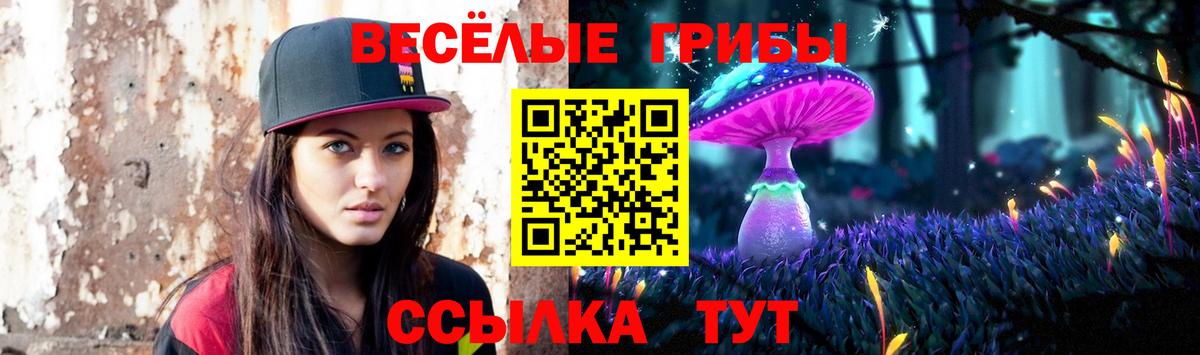 Галлюциногенные грибы Magic Shrooms  Вход с VPN  Псилоцибиновые грибы мицелий  Аргун 