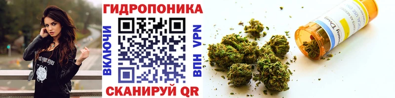 МАРИХУАНА конопля  Аргун 